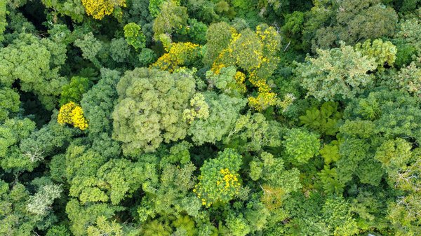 Guide essentiel pour reconnaître les plaques vitrocéramiques et à induction