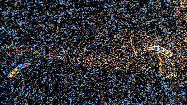 Chasser les souris naturellement dans sa maison : astuces écologiques